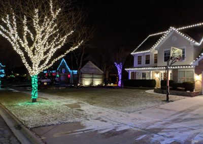 Holiday Lights