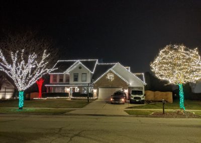 Holiday Lights