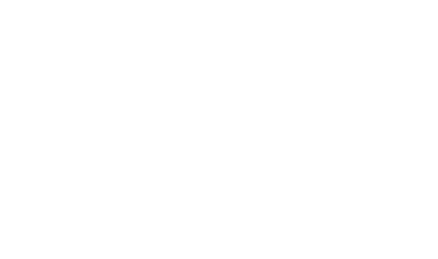 The Holiday Lighting